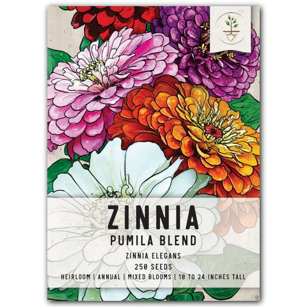 Pumila Zinnia Mixture (Zinnia elegans)