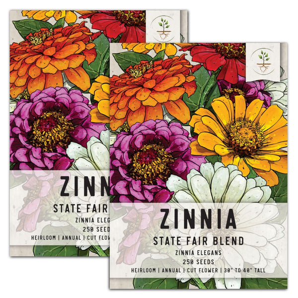 State Fair Zinnia Mixture (Zinnia elegans)
