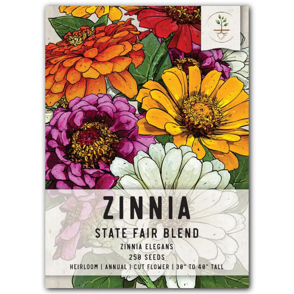 State Fair Zinnia Mixture (Zinnia elegans)