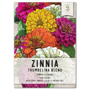 thumbelina zinnia seeds for planting