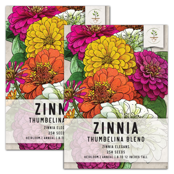 thumbelina zinnia seeds for planting