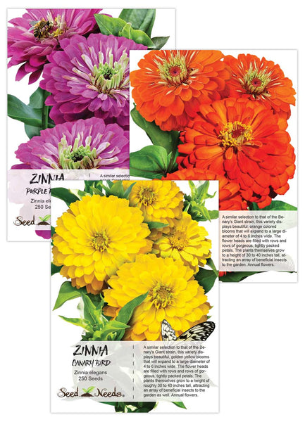 Zinnia Seed Packet Collection